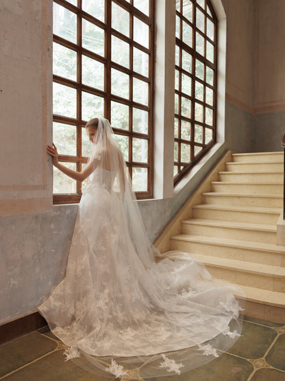 ARISTA Veil