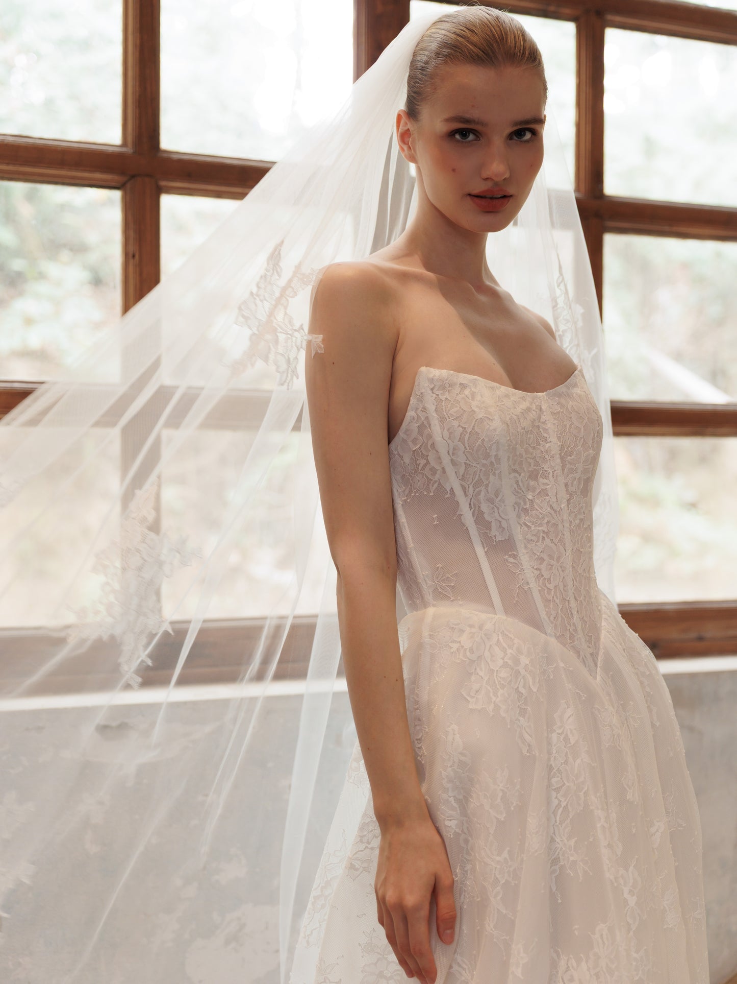 ARISTA Veil