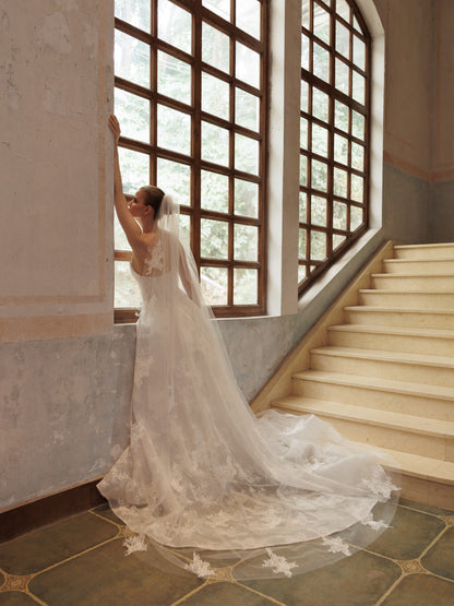 ARISTA Veil